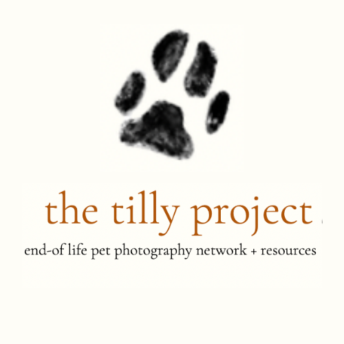 Sharing Sources - The Tilly Project