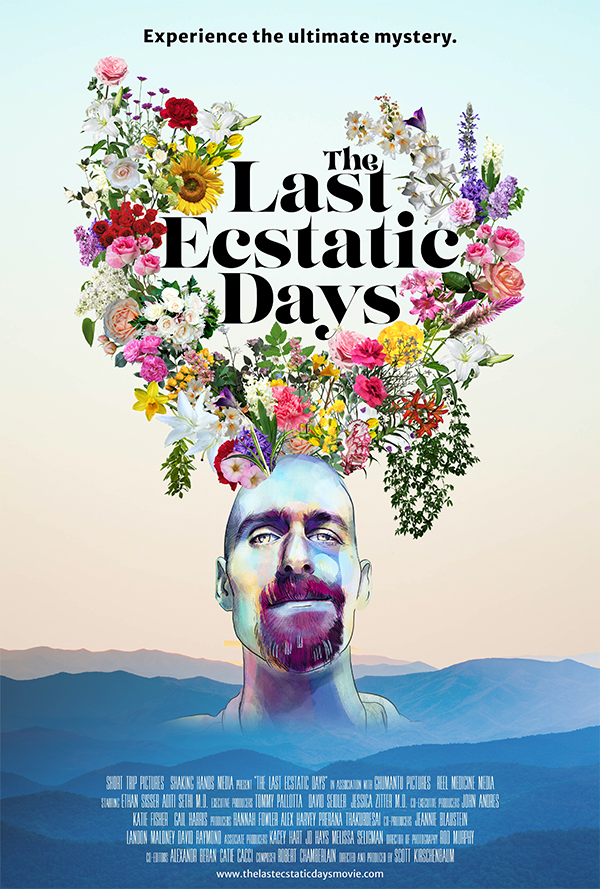 Media of the Month - The Last Ecstatic Days film