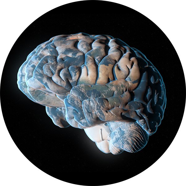 News Brief - Global Brain Health Study Targets Inequities